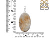 Plume Agate Pendant-SP PLA-1-33