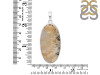 Plume Agate Pendant-SP PLA-1-34