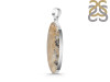 Plume Agate Pendant-SP PLA-1-34