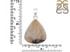Plume Agate Pendant-SP PLA-1-36