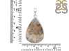Plume Agate Pendant-SP PLA-1-6
