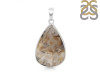 Plume Agate Pendant-SP PLA-1-6