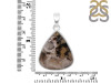 Plume Agate Pendant-SP PLA-1-8