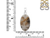 Plume Agate Pendant-SP PLA-1-9