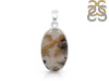 Plume Agate Pendant-SP PLA-1-9