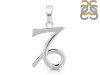 Capricorn Zodiac Pendant PS-RDC-17