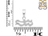 Aquarius Zodiac Pendant PS-RDC-18