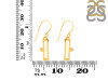 Libra Zodiac Earring PS-RDE-1503.