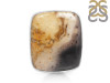 Plumroot Agate Adjustable Ring-ADJ-R PTJ-2-25