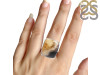 Plumroot Agate Adjustable Ring-ADJ-R PTJ-2-25