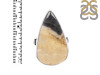 Plumroot Agate Adjustable Ring-ADJ-R PTJ-2-26