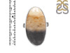 Plumroot Agate Adjustable Ring-ADJ-R PTJ-2-27