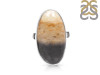 Plumroot Agate Adjustable Ring-ADJ-R PTJ-2-27
