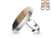 Plumroot Agate Adjustable Ring-ADJ-R PTJ-2-27