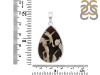 Peanutwood Jasper Pendant-SP PWJ-1-46