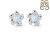 Moonstone Stud Earring RBM-RDE-1.