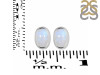 Moonstone Stud Earring RBM-RDE-1108.