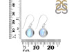 Moonstone Earring RBM-RDE-1116.