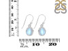 Moonstone Earring RBM-RDE-1131.