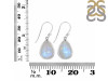 Moonstone Earring RBM-RDE-1159.