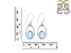 Moonstone Earring RBM-RDE-116.