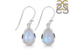 Moonstone Earring RBM-RDE-1160.