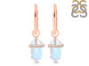 Moonstone & White Topaz Hoop Earring RBM-RDE-1197.