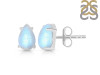 Moonstone Stud Earring RBM-RDE-1207.