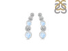Moonstone & White Topaz Stud Earring RBM-RDE-1472.