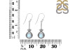 Moonstone Earring RBM-RDE-148.