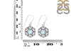 Moonstone Earring RBM-RDE-204.