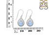 Moonstone Earring RBM-RDE-227.