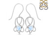 Moonstone Earring RBM-RDE-27.