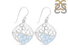 Moonstone Earring RBM-RDE-48.