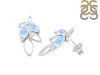 Moonstone Stud Earring RBM-RDE-53.