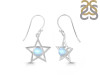 Moonstone Earring RBM-RDE-567.