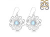 Moonstone Earring RBM-RDE-59.