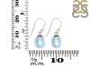 Moonstone Earring RBM-RDE-683.