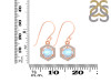 Moonstone & White Topaz Earring RBM-RDE-701.