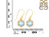 Moonstone & White Topaz Earring RBM-RDE-701.