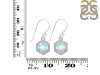 Moonstone & White Topaz Earring RBM-RDE-701.