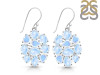 Moonstone Earring RBM-RDE-787.