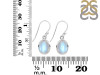Moonstone Earring RBM-RDE-829.