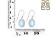 Moonstone Earring RBM-RDE-833.