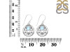 Moonstone Earring RBM-RDE-84.