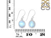 Moonstone Earring RBM-RDE-843.
