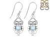 Moonstone Earring RBM-RDE-91.