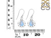 Moonstone Earring RBM-RDE-92.