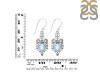 Moonstone Earring RBM-RDE-93.