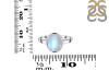 Moonstone Ring RBM-RDR-2511.